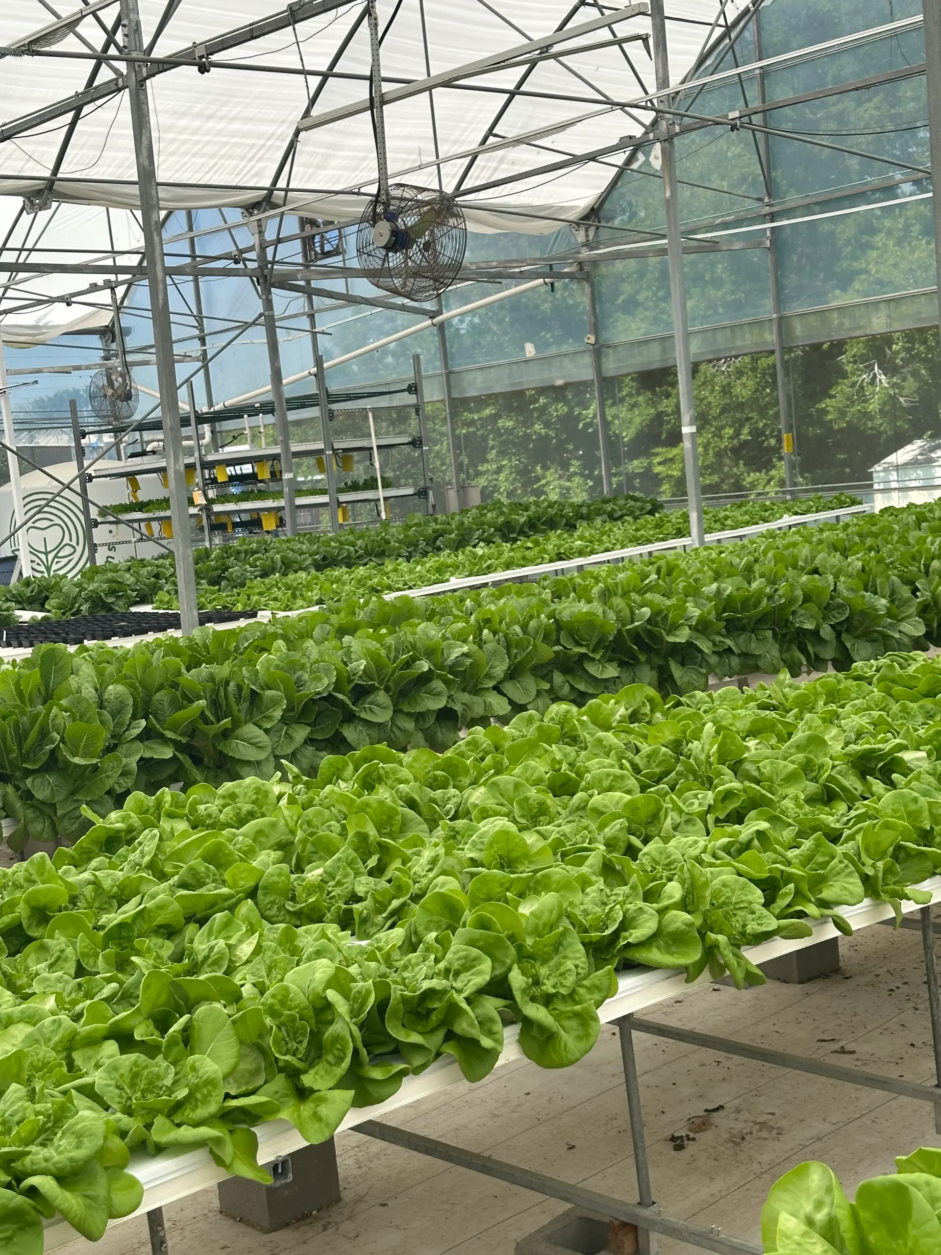 3aaf9310ebc588dc2d118db8496130a6