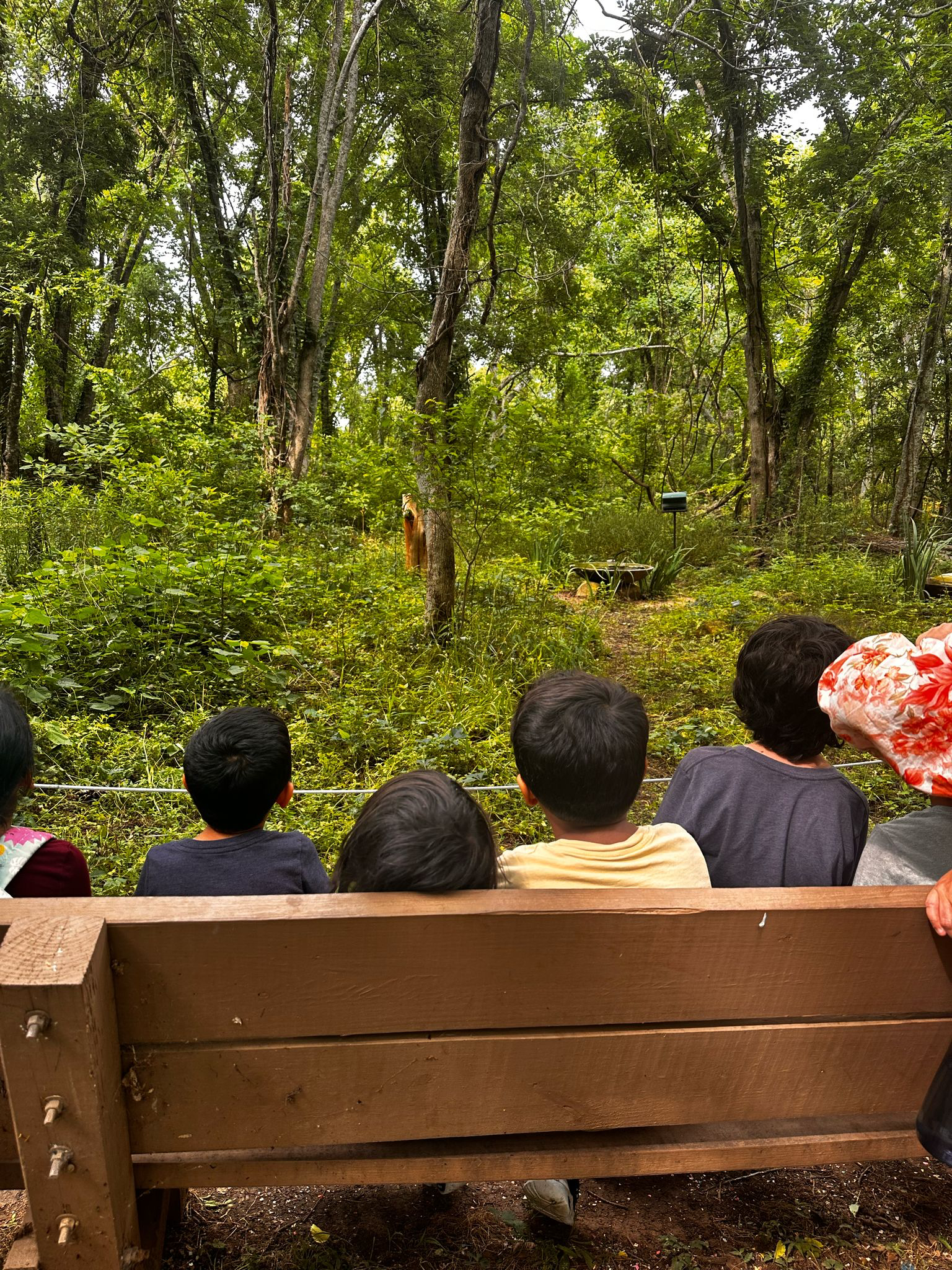 bdf2dc7012fe8898846fcae157222cff