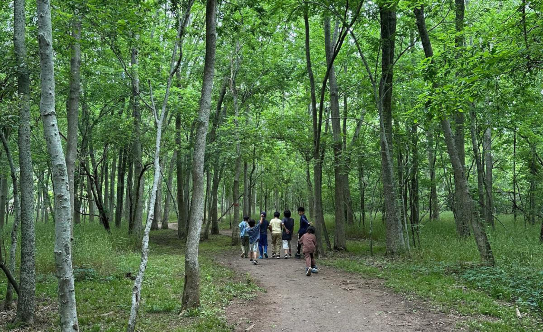 e8df6bd0b7589397b1d7988d01769d5a